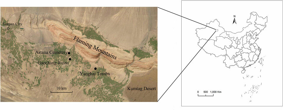   Tao Chen et al. / Journal of Archaeological Science: Reports, 2024