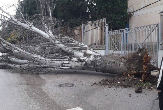    Последствия шторма в Севастополе