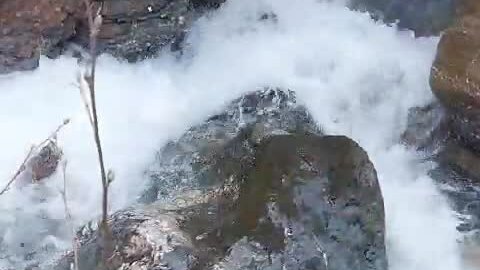 Камень- ландшафтный дизайн | 🌊💎 Вода камень точит! 🌊 Наша история ...