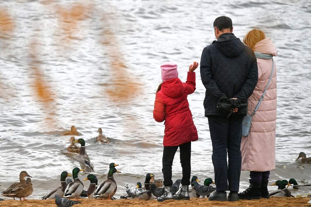 Фото: РИА Новости/Максим Блинов