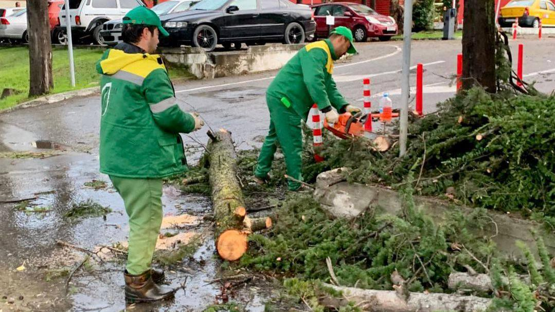 Видео: t.me/AlekseiKopaigorodskii