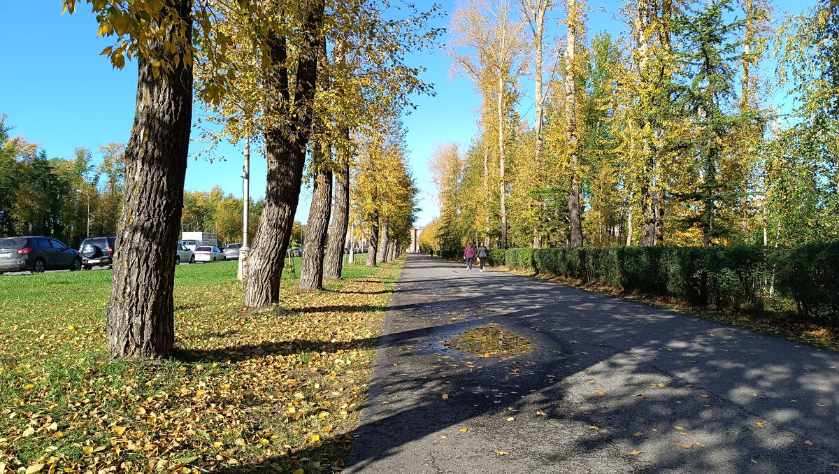 Просто картинка для украшения. Фото автора.