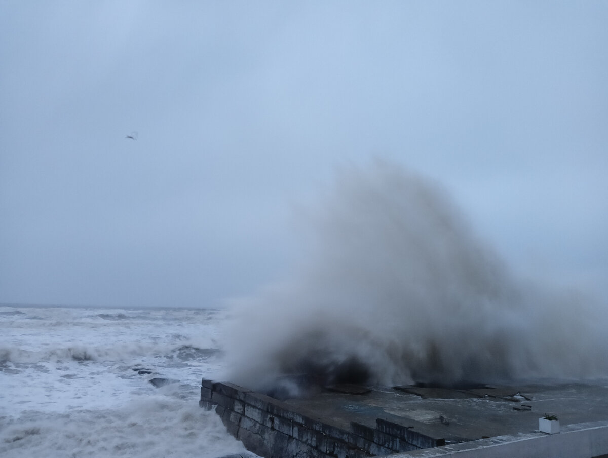 Волнение моря в адлере сегодня