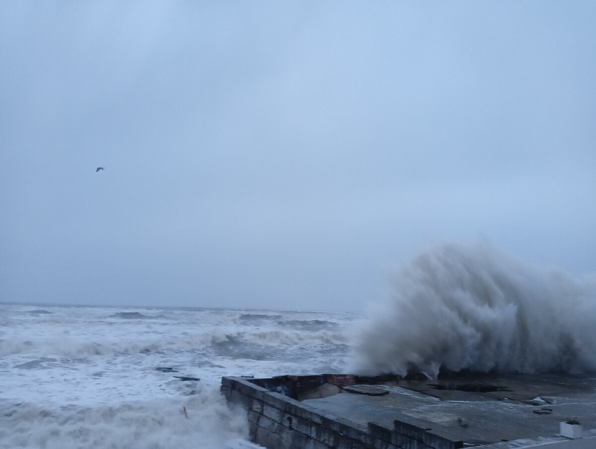 Волнение моря в адлере сегодня