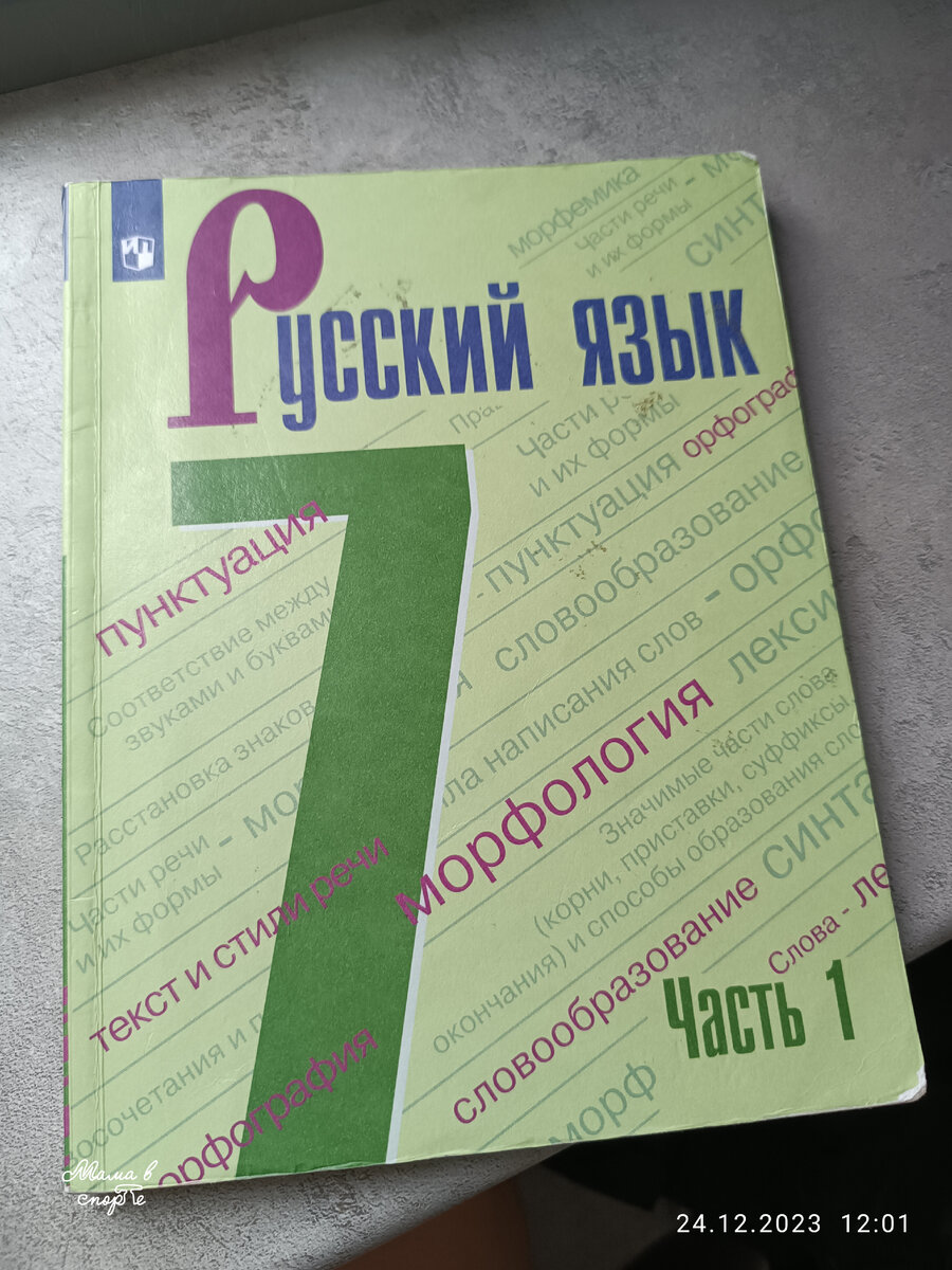 Просто учебник русского языка. 