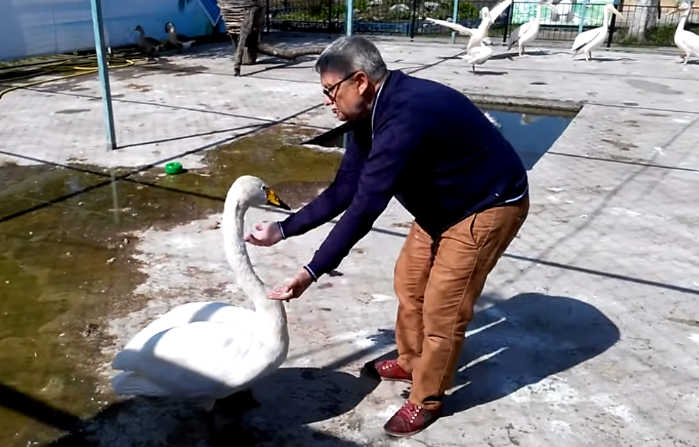 Видео предоставлено Сергеем Писаревым, директором барнаульского зоопарка.