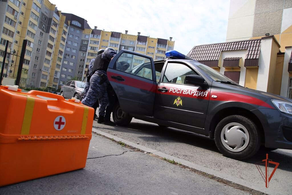 ФОТО: РОСГВАРДИЯ ЧЕЛЯБИНСКОЙ ОБЛАСТИ/ПРЕДОСТАВЛЕНО САЙТУ ЦАРЬГРАД. 