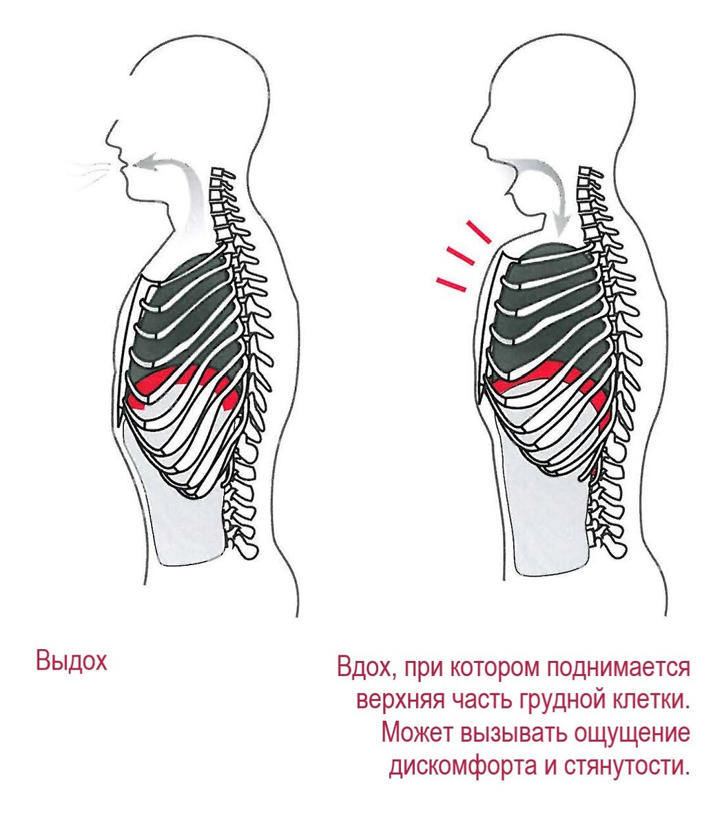 Вдох и осанка | Книга 