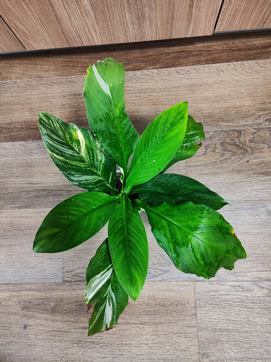 Фото от 23.10.2023 г.