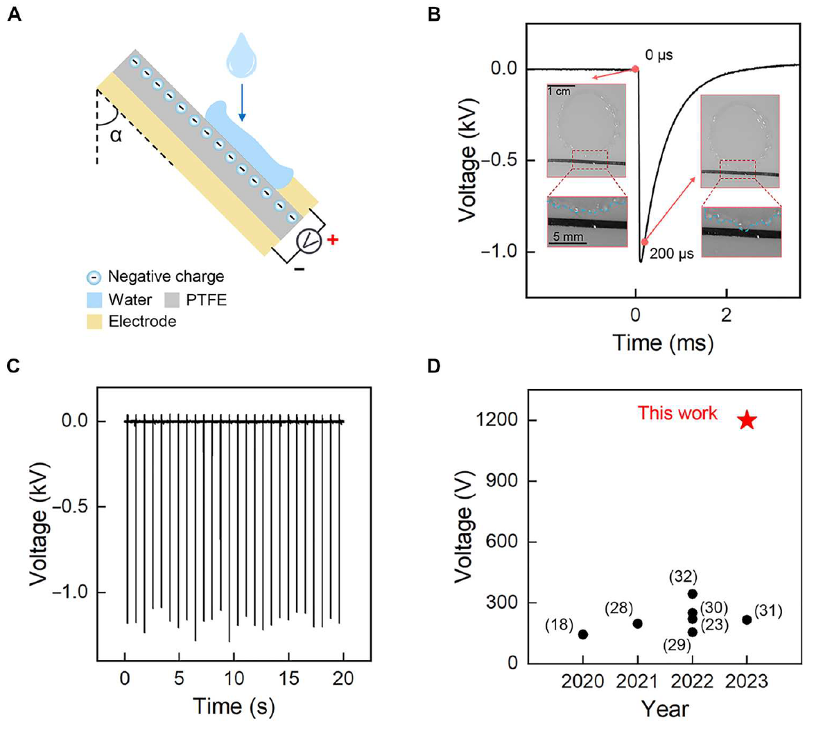   Luxian Li et al. / Science Advances, 2023