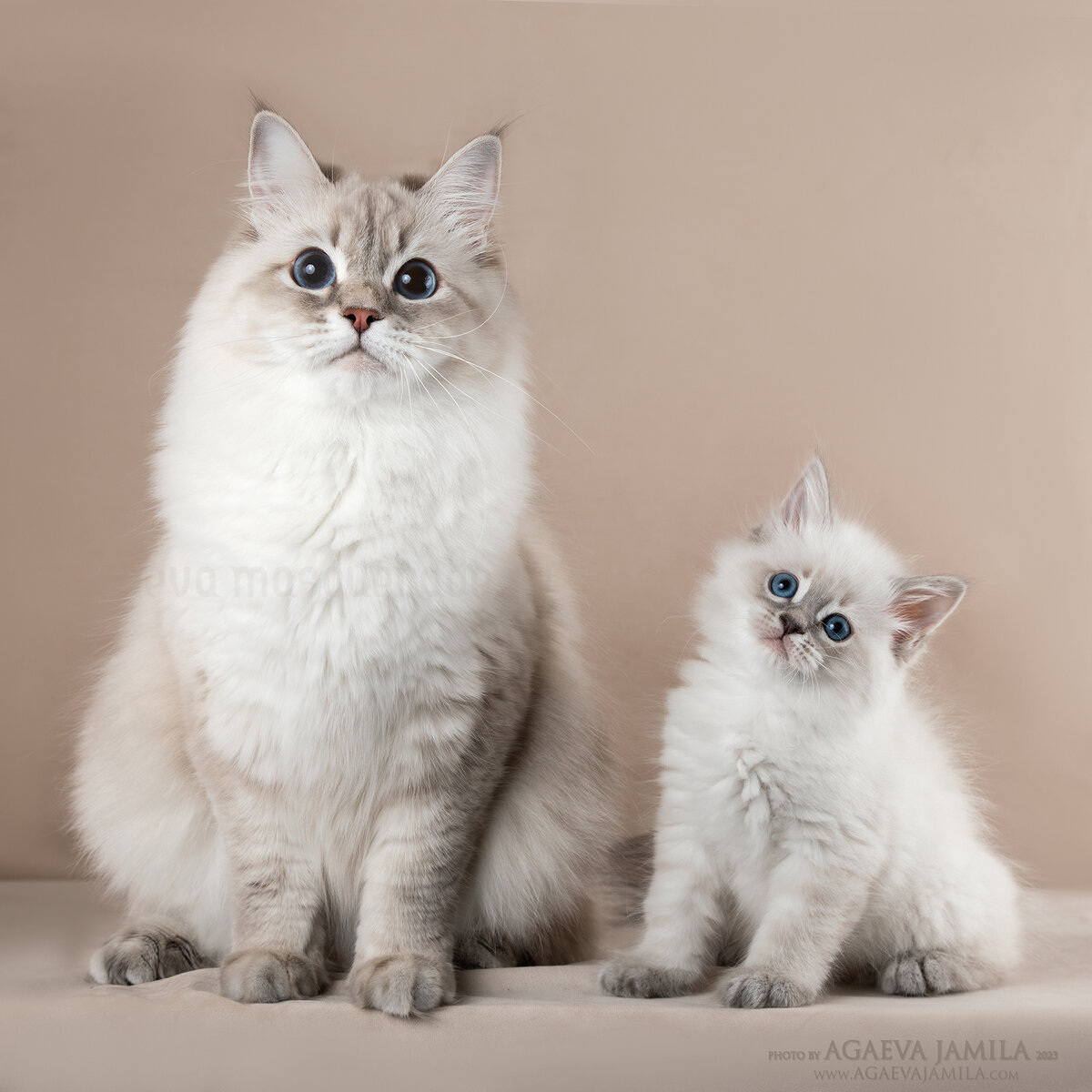 Уход за кожей