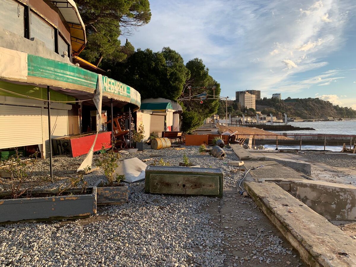 Фото: Янина Павленко/телеграм