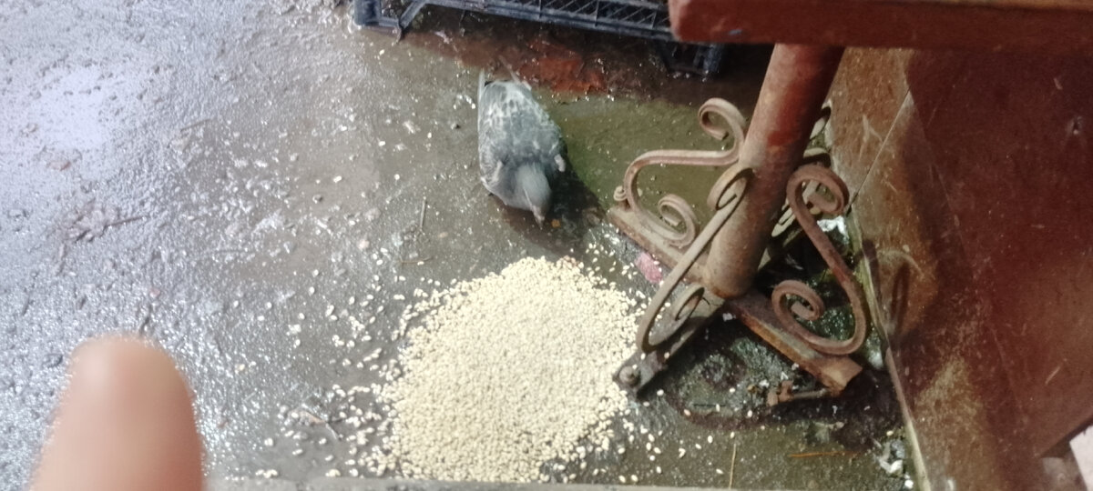 Личное фото