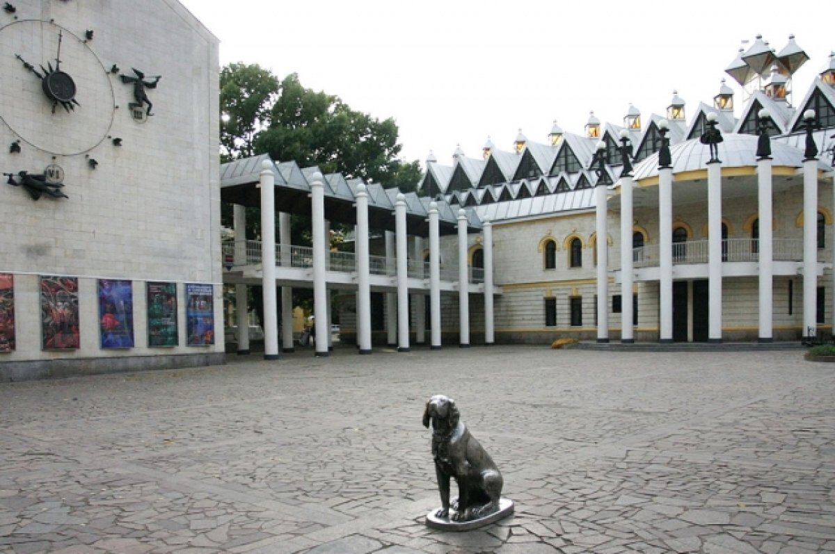    Театр кукол в Воронеже ждет реконструкция