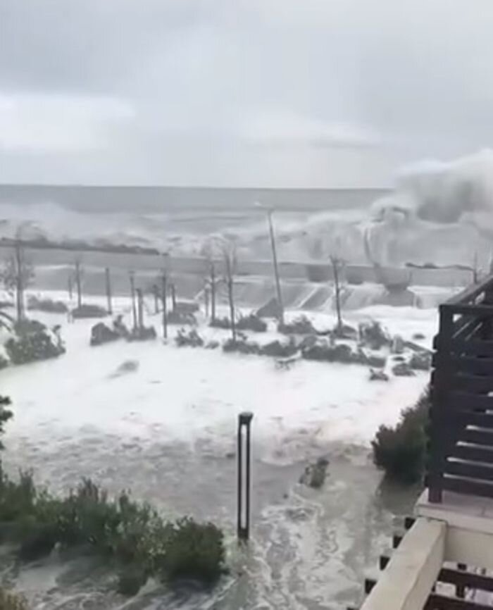 Источник фото: кадры из Сочи, соцсети