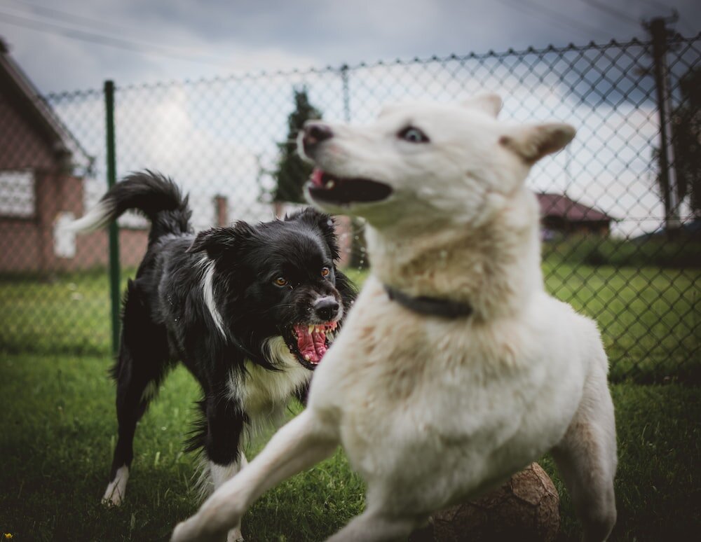 Tadeusz Lakota // unsplash.com