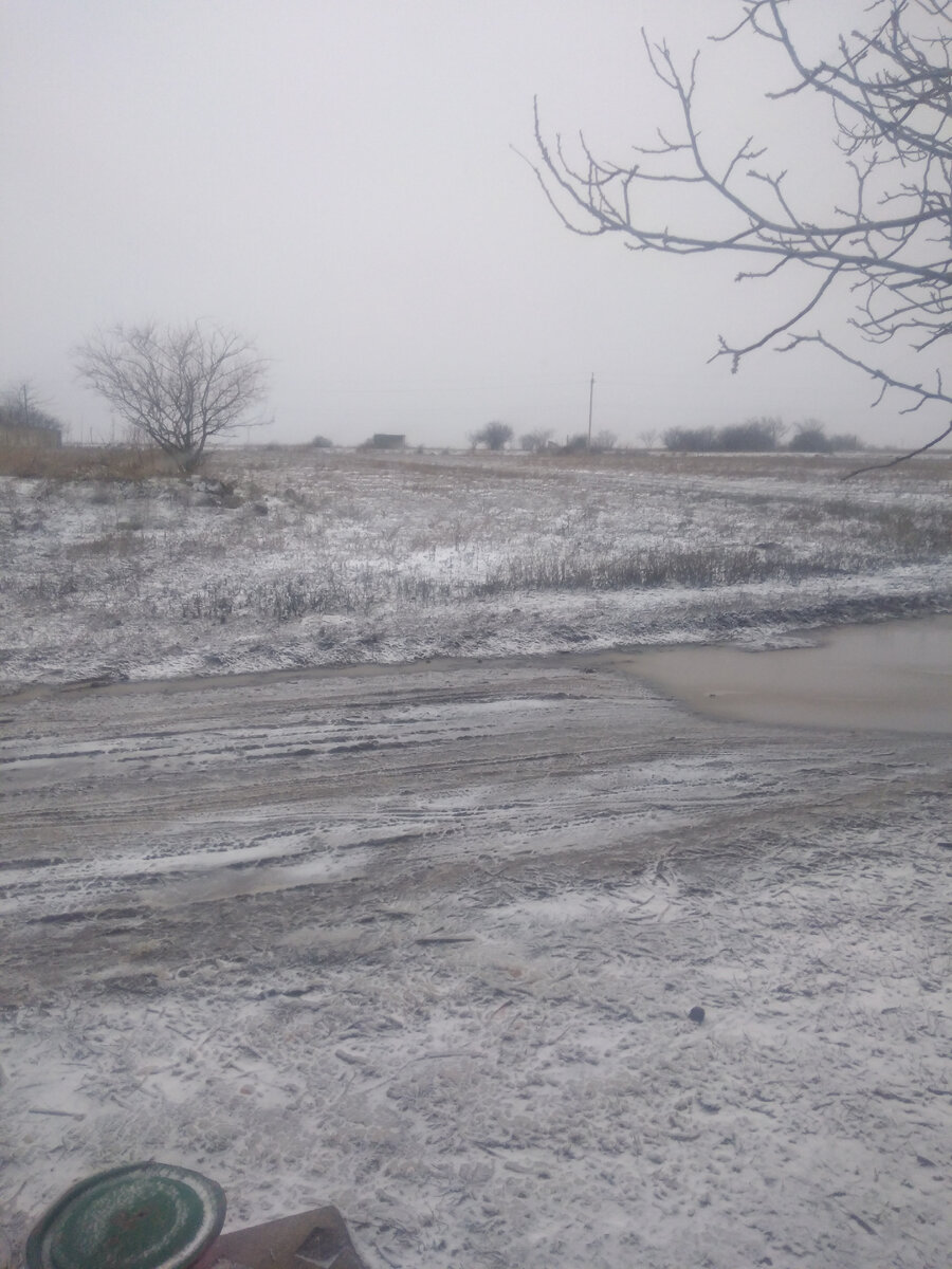 Погода жесть. 