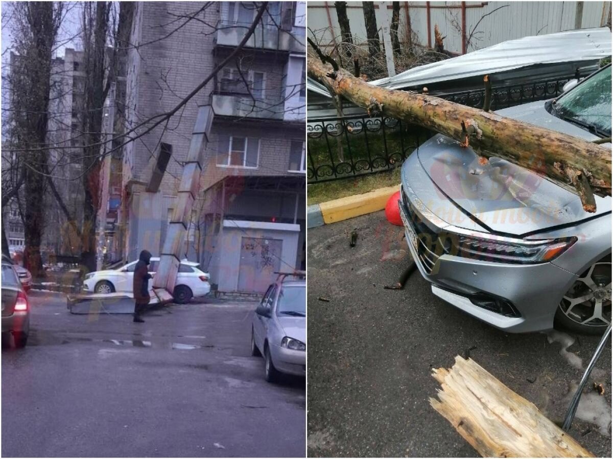 В Воронеже легковушки приняли на себя последствия от падения дерева и  дымохода | «Воронежские новости» | Дзен