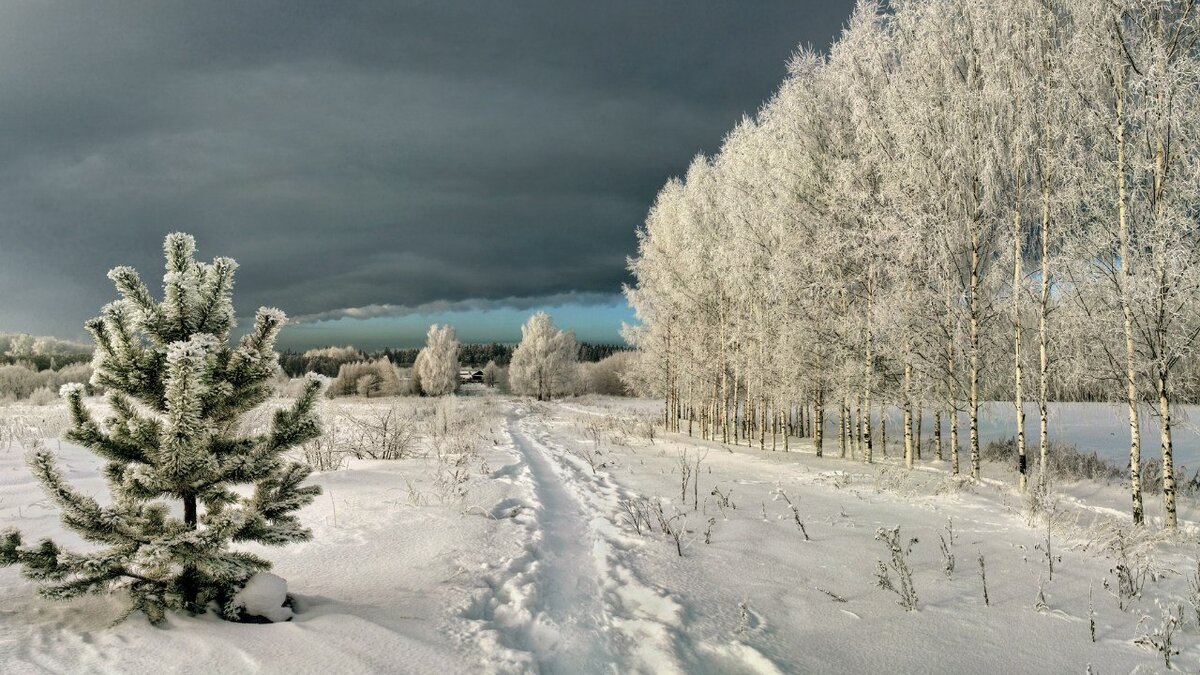 Кирово Чепецк зимой