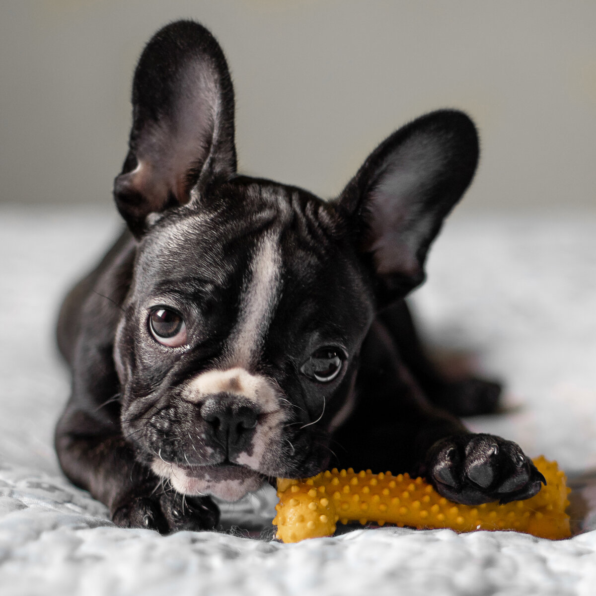 Моя француженка