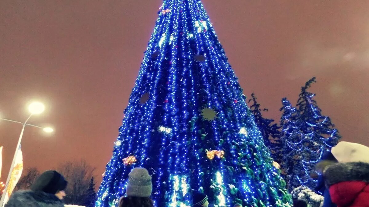     Хвойное дерево затмит лик Владимира Ленина.