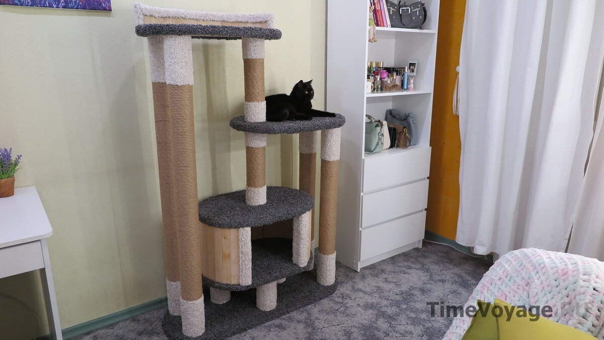 Наш новый домик для кошки