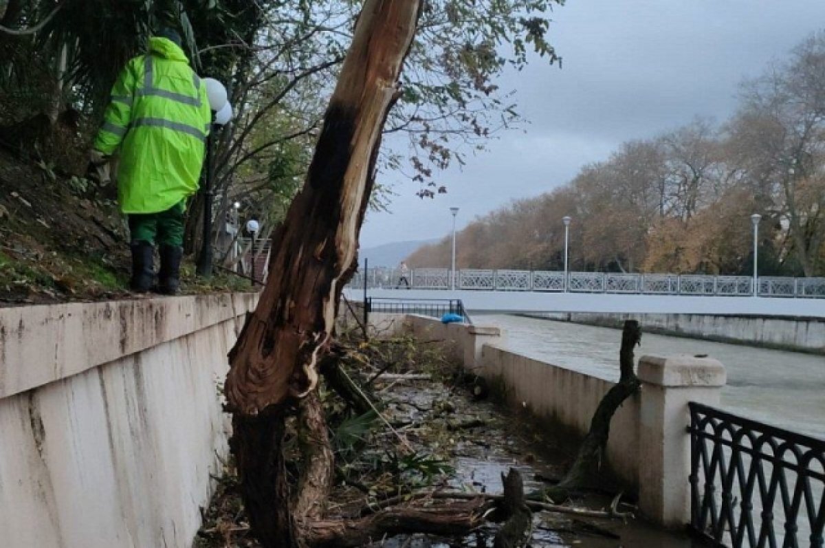    В центре Сочи выловили тело погибшего во время шторма человека