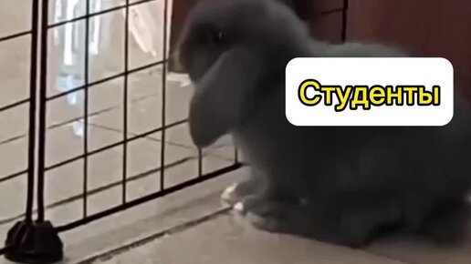 Московский технологический институт | МТИ | Совсем скоро во всех вузах ...