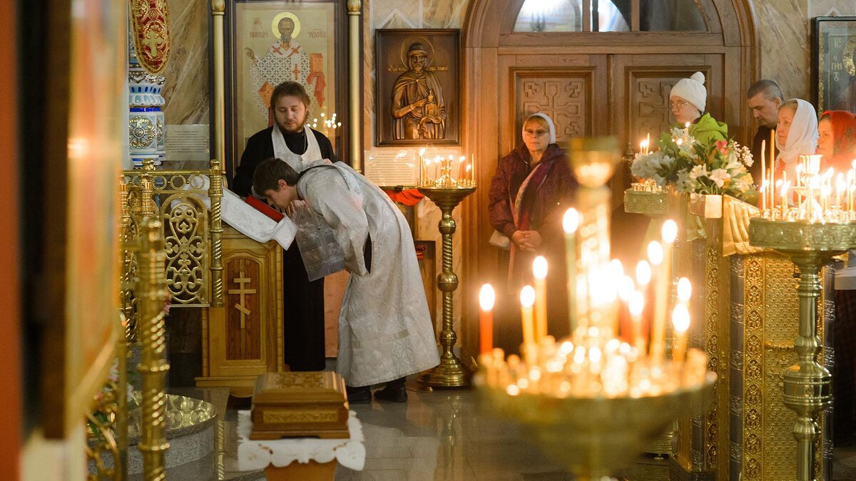 Фото: Dmitry Chasovitin/globallookpress.com