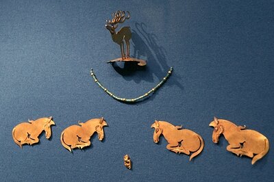 Zamir Usmanov/Russian Loo