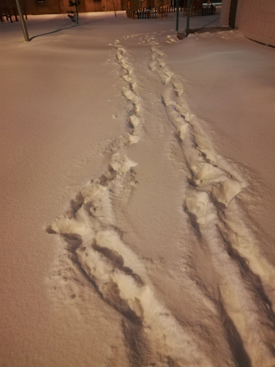 Подходим к  месту работы. Дошли без происшествий. 