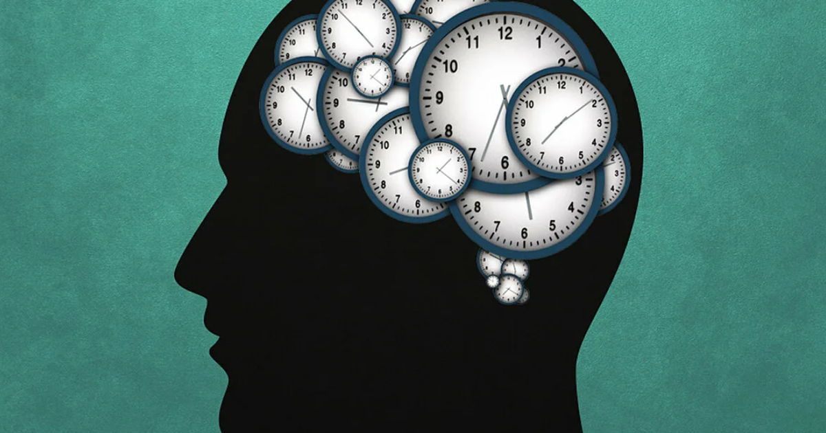 Жизненное время личности. Биологические часы биоритмы. Восприятие мозга.