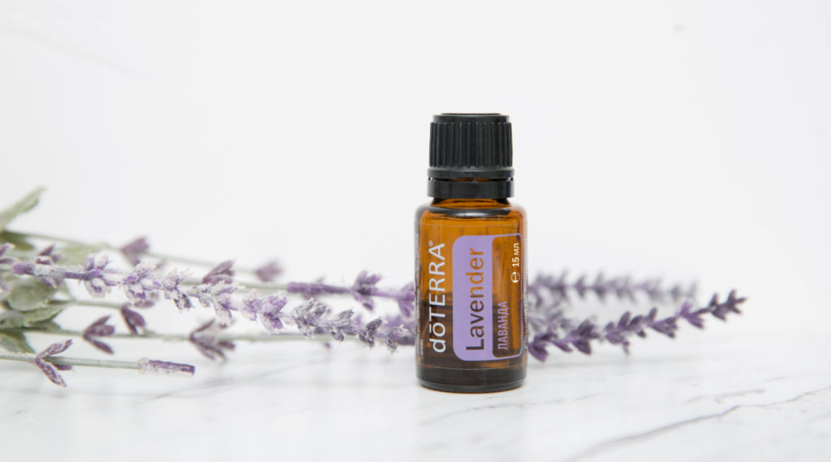 Эфирное масло лаванды от доТЕРРА