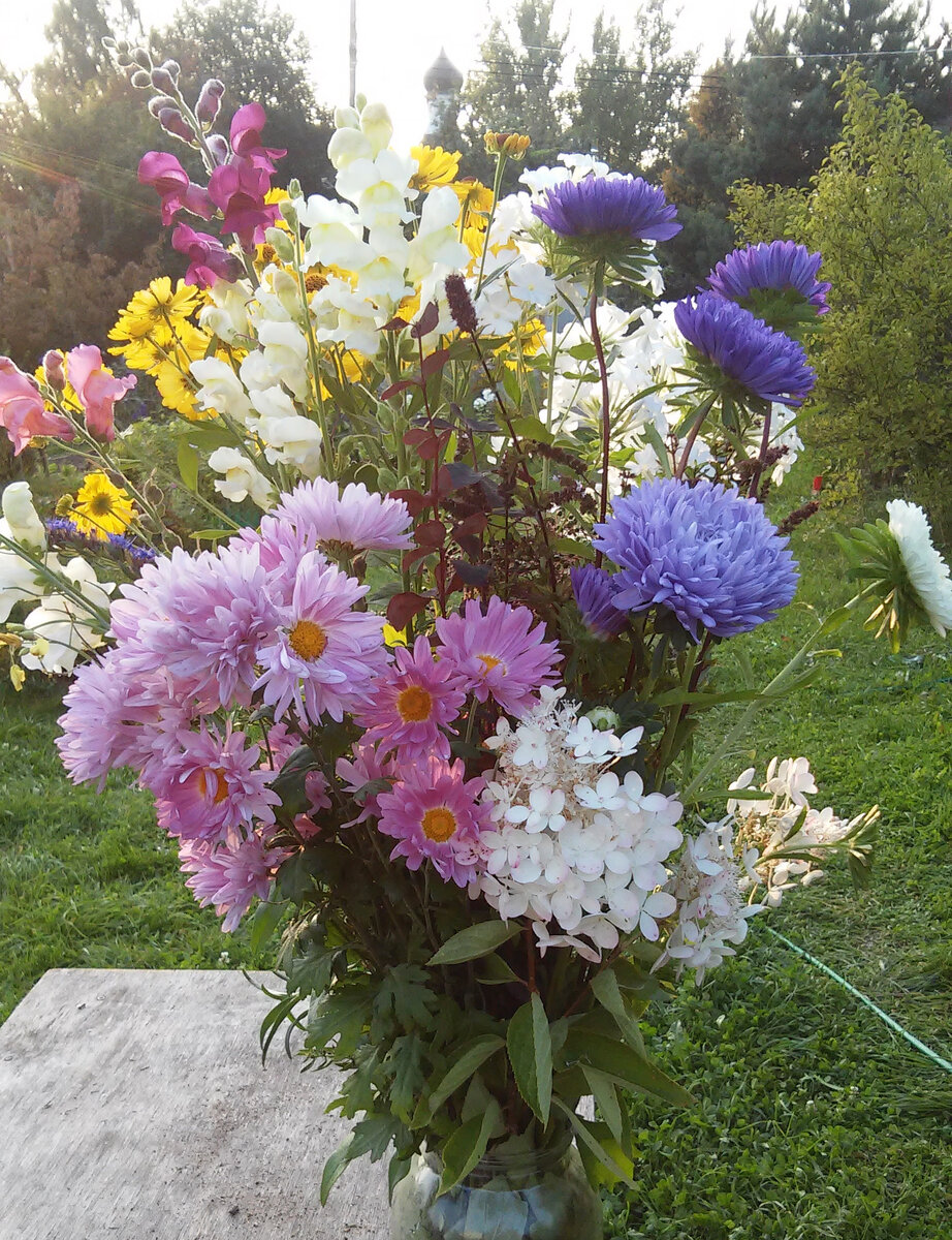 Первые шаги в яркий мир цветов