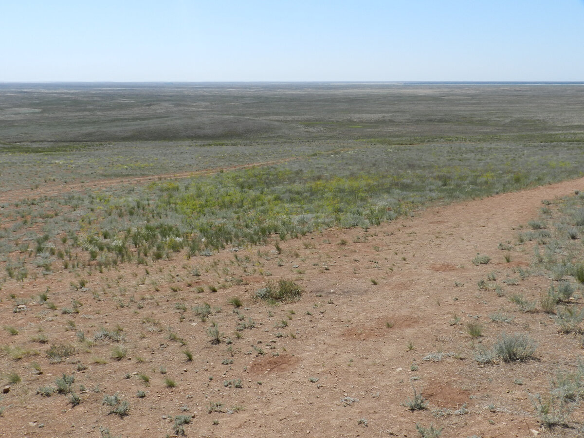 Богдинско-Баскунчакский заповедник