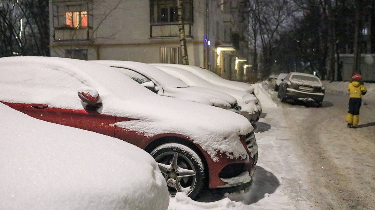    Фото: Софья Сандурская / АГН Москва