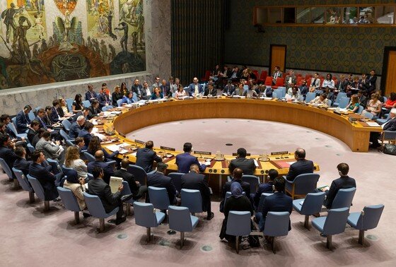    Совет Безопасности ООН