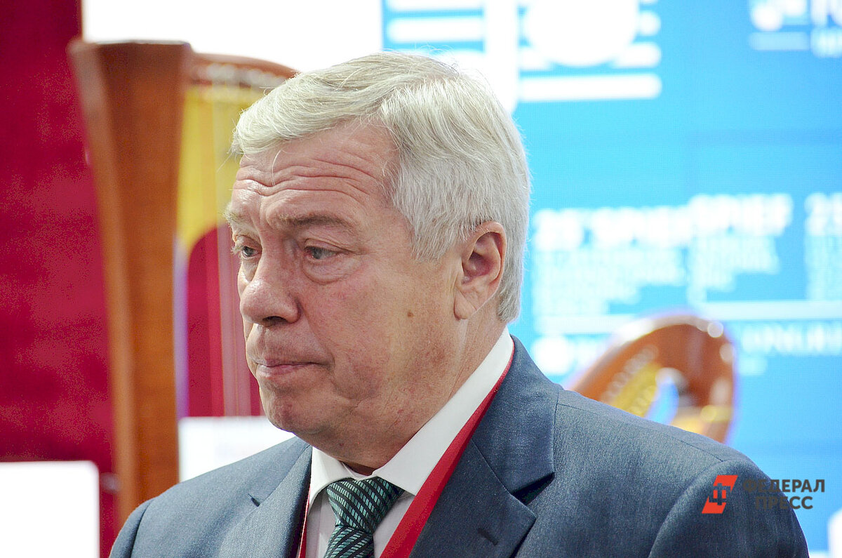 Об этом сообщил в своих соцсетях губернатор Голубев.  Фото: Фото: ФедералПресс / Дмитрий Шевалдин