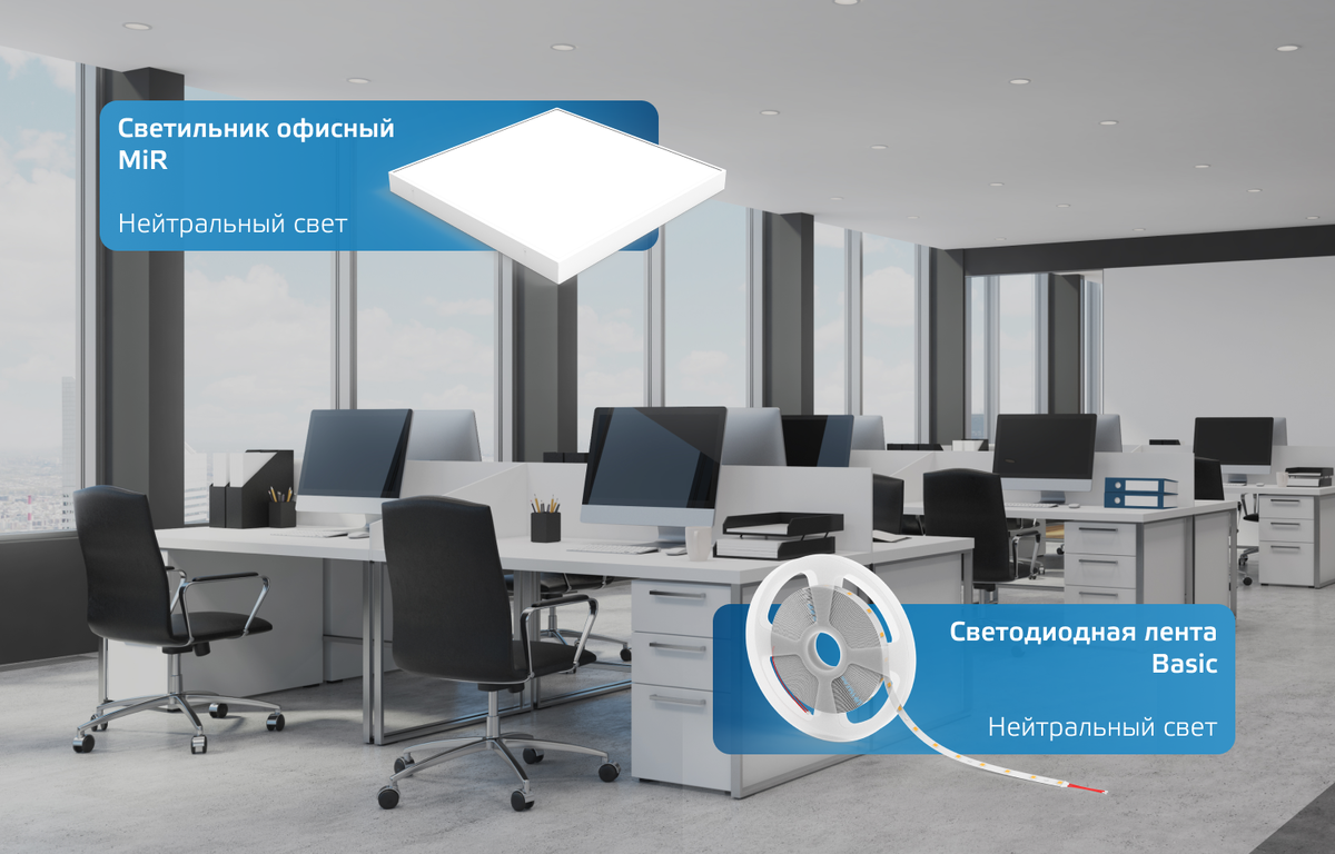 Пример офиса с большим количеством нейтрального света и акцентным освещением 