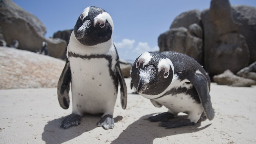    Фото: Shutterstock