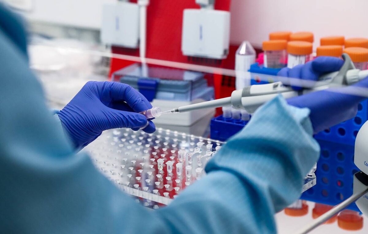 © Антон Новодережкин/ТАСС 