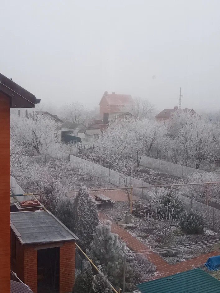 Первая зима.  Вид из нашего окна. 