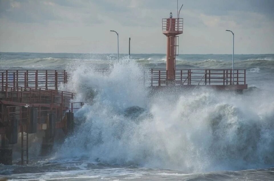 Фото "Комсомольская правда" https://s12.stc.yc.kpcdn.net/share/i/12/13501232/wr-960.webp