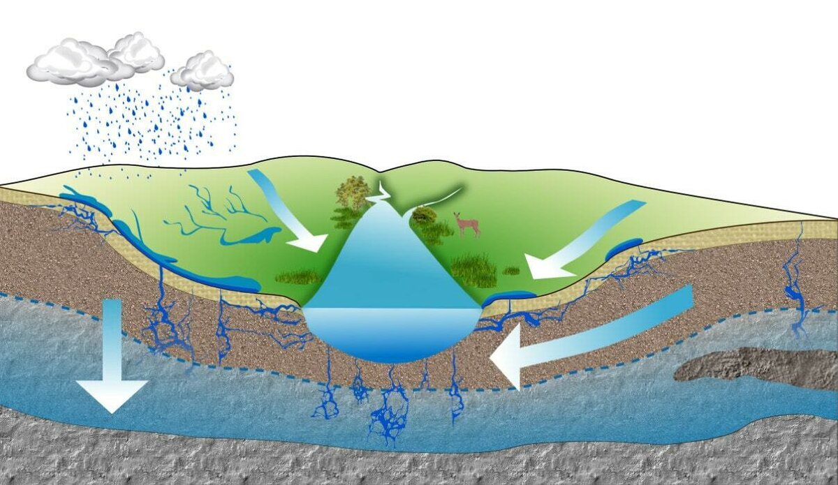 Водоток водохранилища. Межморенный водоносный Горизонт. Водоносный Горизонт верховодка. Нубийский водоносный Горизонт. Родник верховодка.