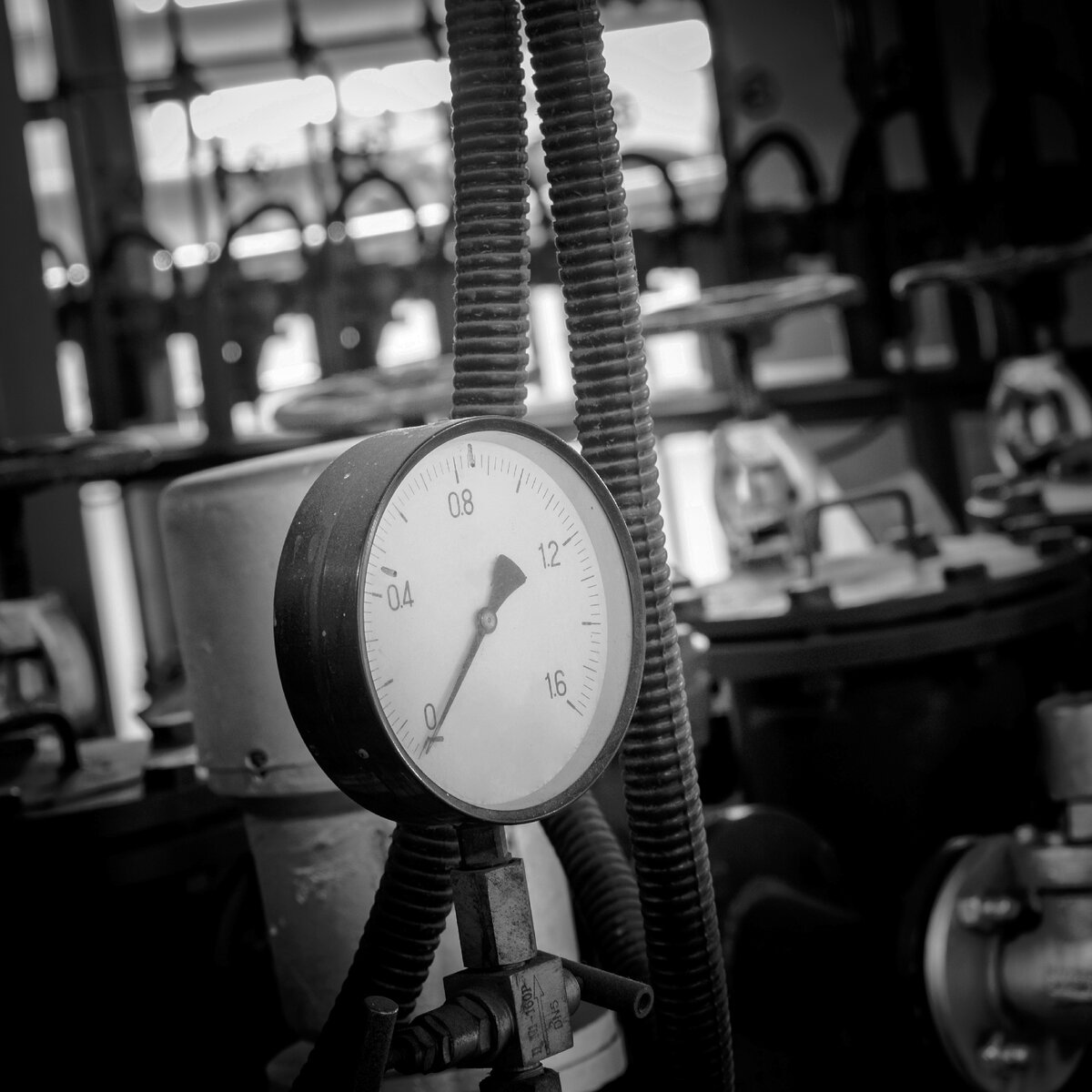 Источник: freepik.com