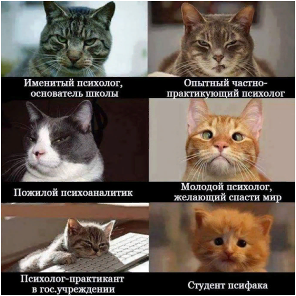 фото из открытого источника