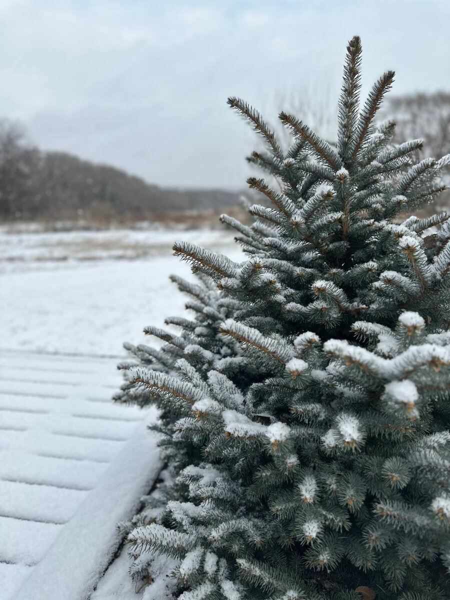 Затраты на участок - это не только ландшафтные работы и забор