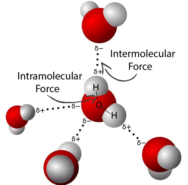 Молекулы воды, связанные водородны