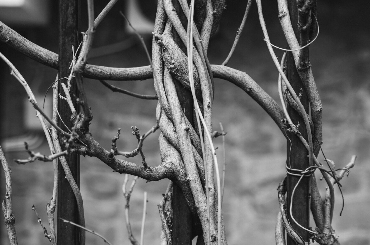 Фото из личного архива