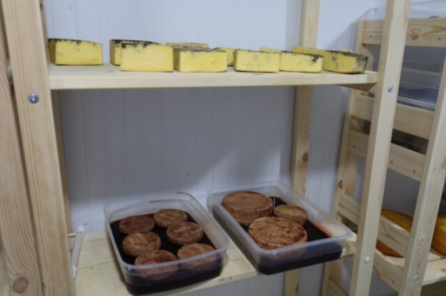    Фото: Правительство Белгородской области